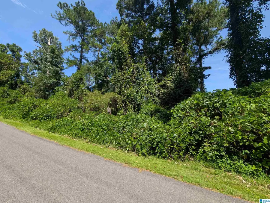 0 HILLTOP ROAD, Weaver, AL 36277 - #2