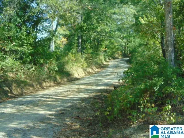 30 WILLOW COURT, Weogufka, AL 35183 - #2