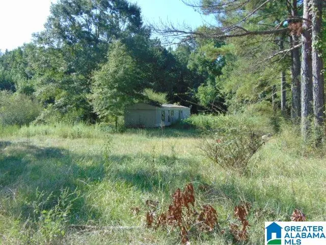 30 WILLOW COURT, Weogufka, AL 35183 - #3