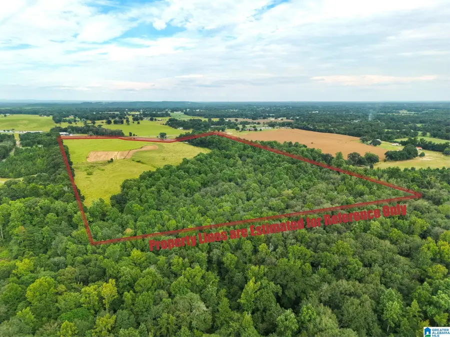 0 COUNTY ROAD 43, Jemison, AL 35085 - #2