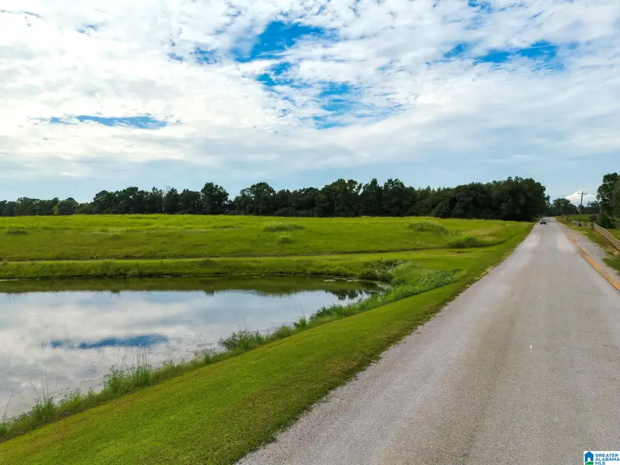 0 COUNTY ROAD 43, Jemison, AL 35085 - #3