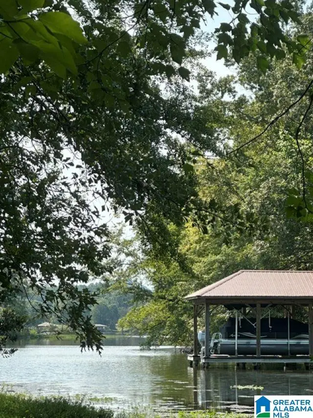 Lot #1 MALLORY CIRCLE, Sylacauga, AL 35150 - #2