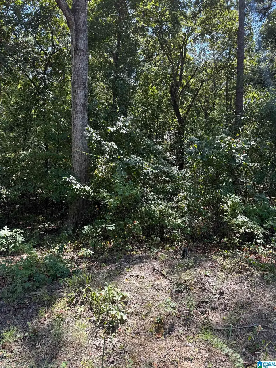 0 S LAKESHORE DRIVE, Talladega, AL 35160 - #2