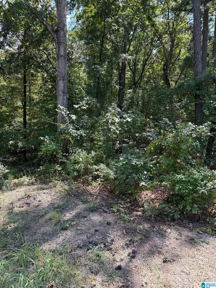 0 S LAKESHORE DRIVE, Talladega, AL 35160 - #3