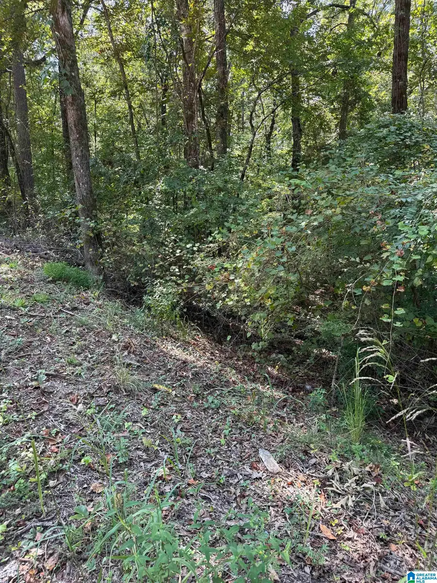 0 MAPLEWOOD DRIVE, Talladega, AL 35160 - #2