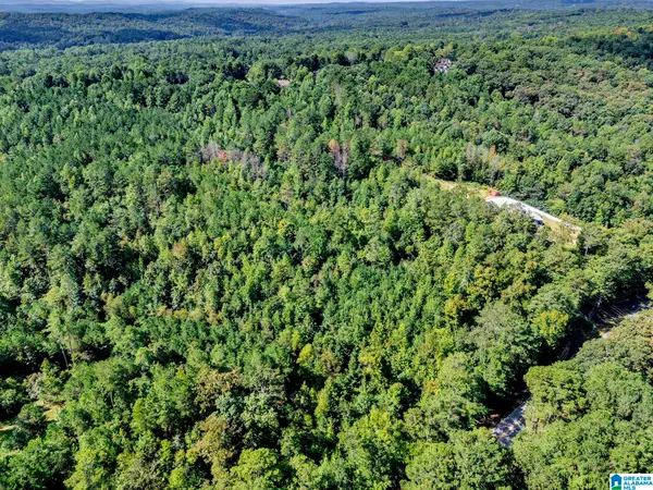 0 MOUNTAIN VIEW ROAD, Odenville, AL 35120