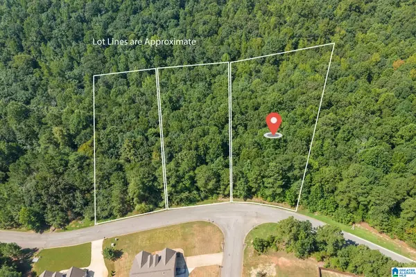 5542 CARRINGTON LAKE PARKWAY, Trussville, AL 35173