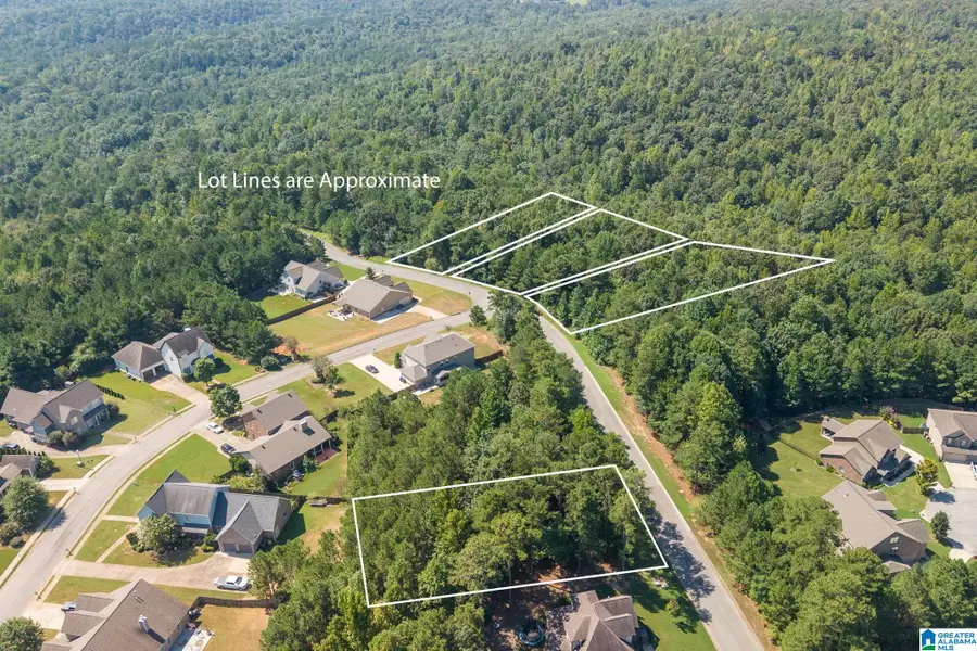 5542 CARRINGTON LAKE PARKWAY, Trussville, AL 35173 - #2