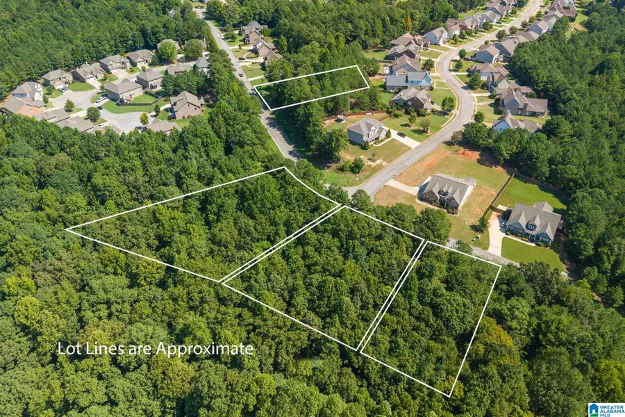 5542 CARRINGTON LAKE PARKWAY, Trussville, AL 35173 - #3