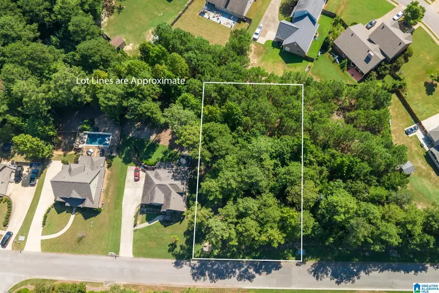 5551 CARRINGTON LAKE PARKWAY, Trussville, AL 35173 - #3