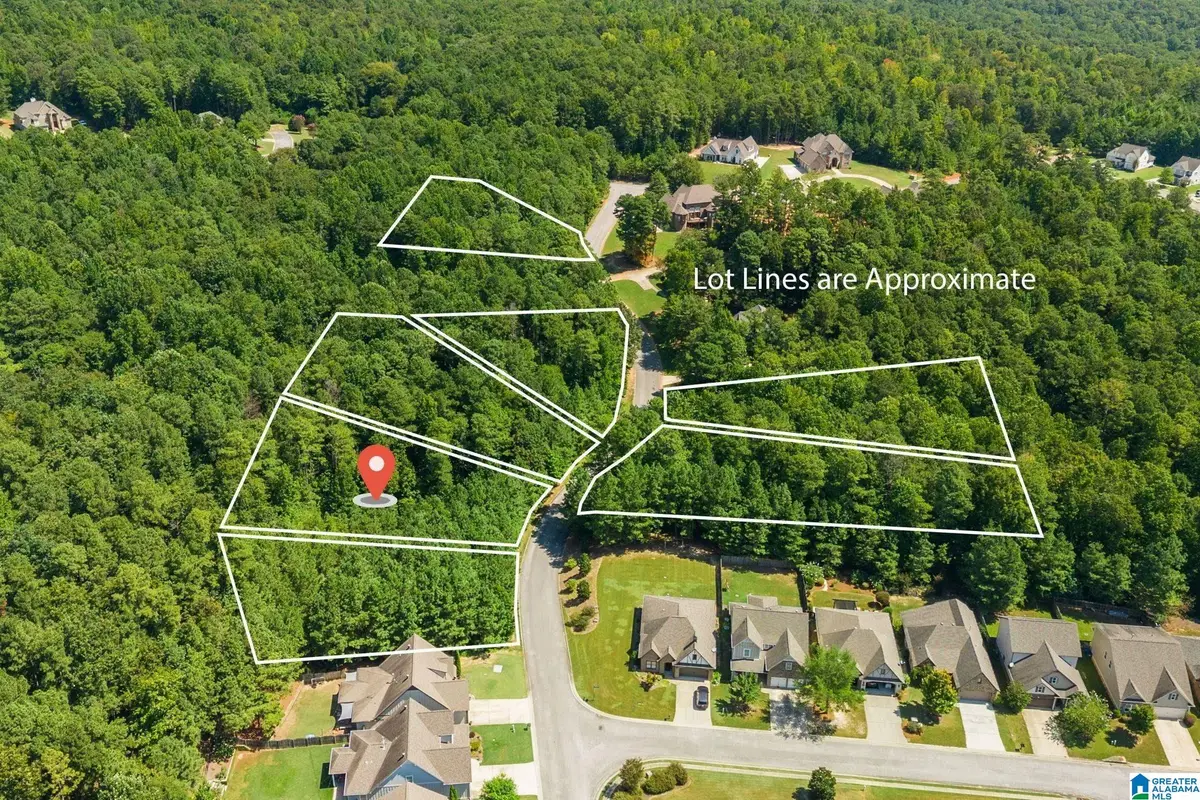 1050 OVERLOOK DRIVE, Trussville, AL 35173 - #1