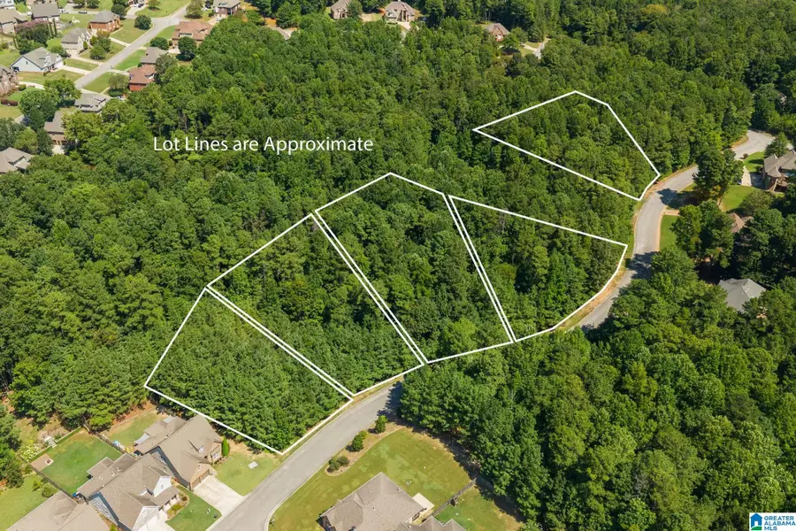 1040 OVERLOOK DRIVE, Trussville, AL 35173 - #2