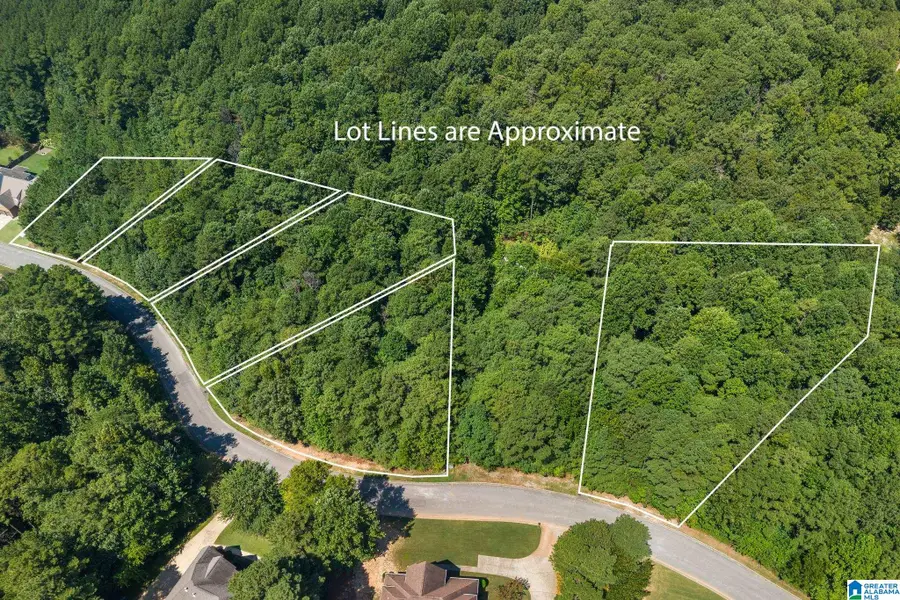 1040 OVERLOOK DRIVE, Trussville, AL 35173 - #3