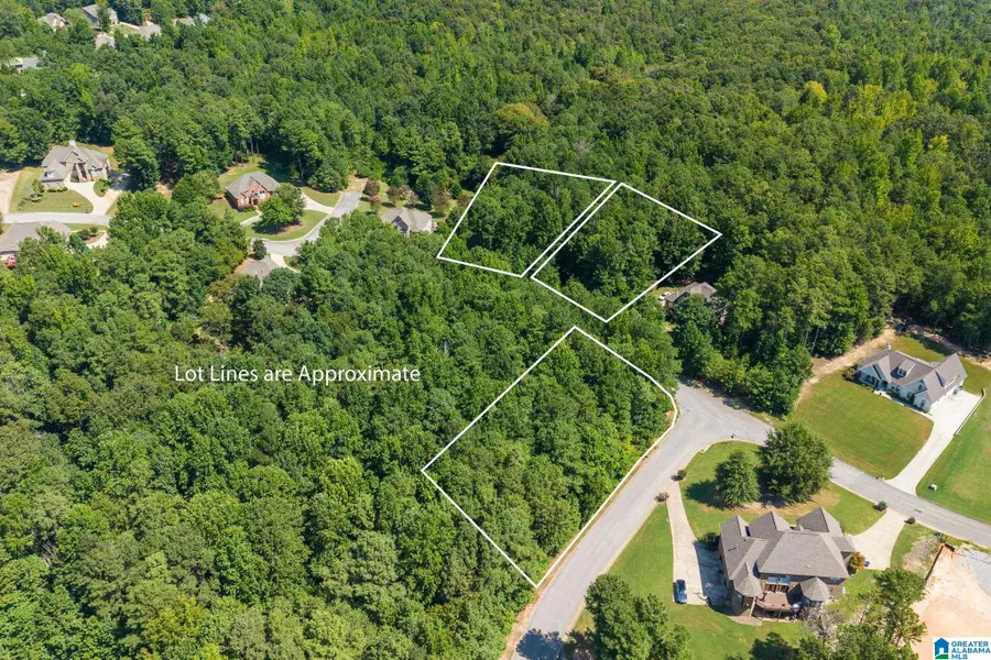4029 OVERLOOK WAY, Trussville, AL 35173 - #2