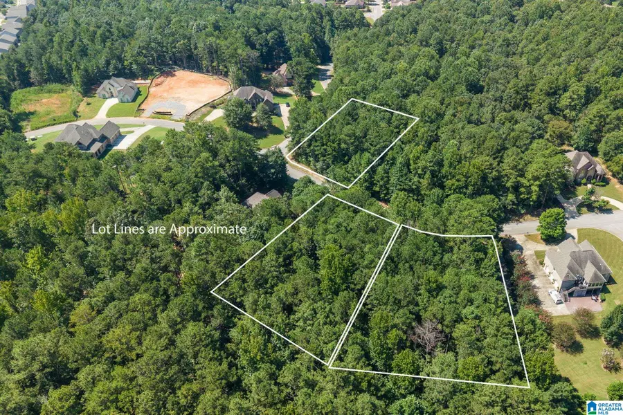 4033 OVERLOOK WAY, Trussville, AL 35173 - #3