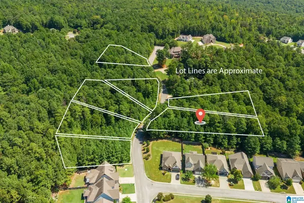 1045 OVERLOOK DRIVE, Trussville, AL 35173