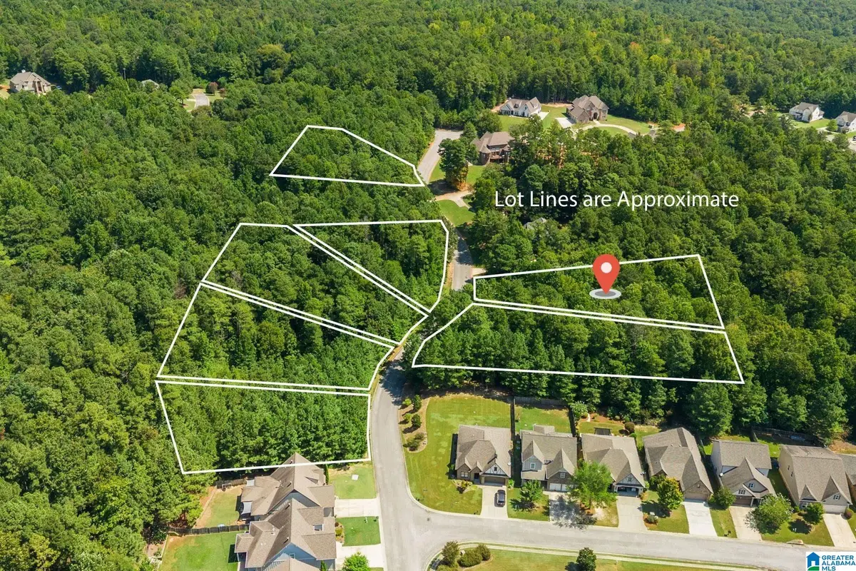 1035 OVERLOOK DRIVE, Trussville, AL 35173 - #1