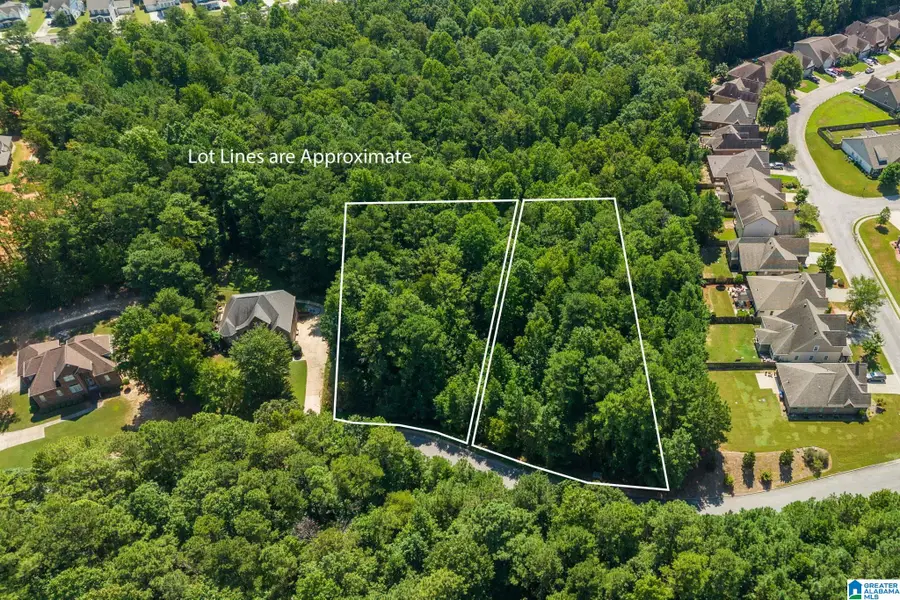 1035 OVERLOOK DRIVE, Trussville, AL 35173 - #2