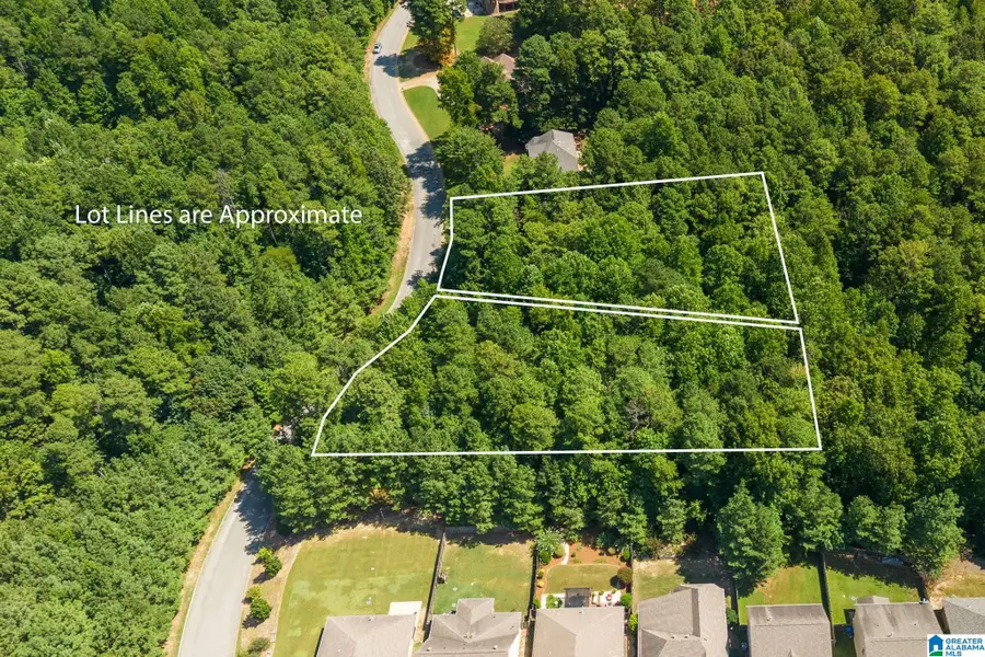 1035 OVERLOOK DRIVE, Trussville, AL 35173 - #3