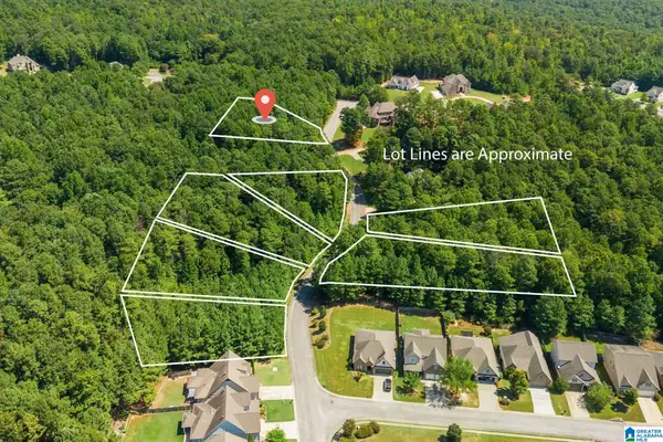 1010 OVERLOOK DRIVE, Trussville, AL 35173