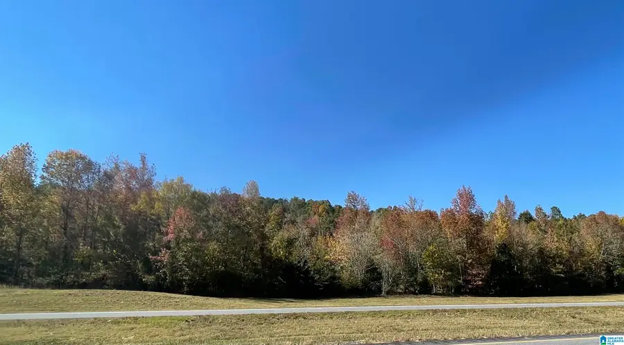 Lot #4 HIGHWAY 75, Oneonta, AL 35121 - #2