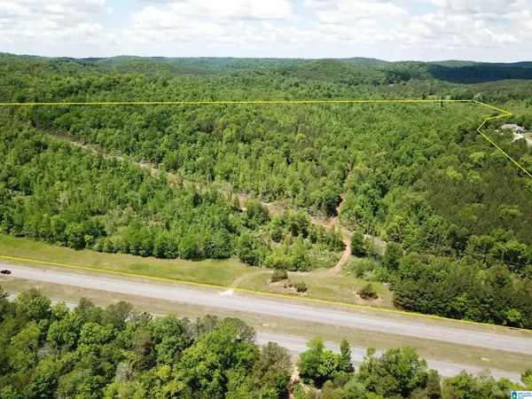 Lot #3 HIGHWAY 75, Oneonta, AL 35121