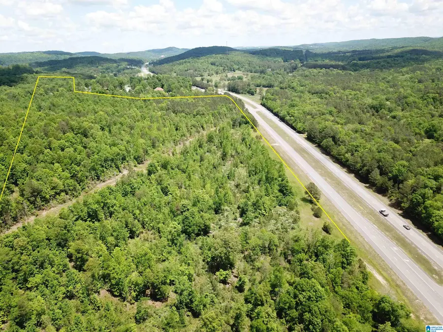 Lot #3 HIGHWAY 75, Oneonta, AL 35121 - #2
