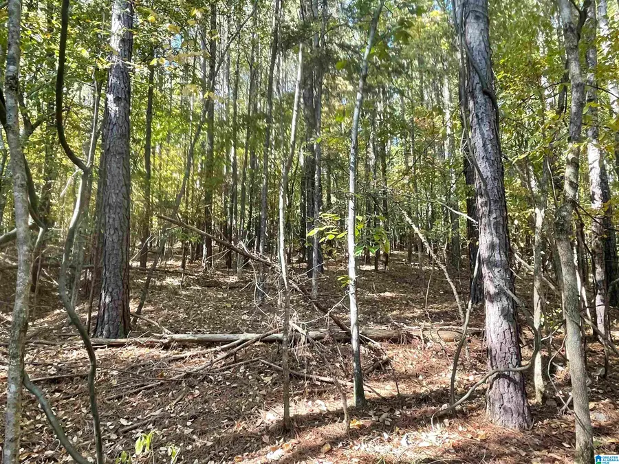 Lot #2 HIGHWAY 75, Oneonta, AL 35121 - #3