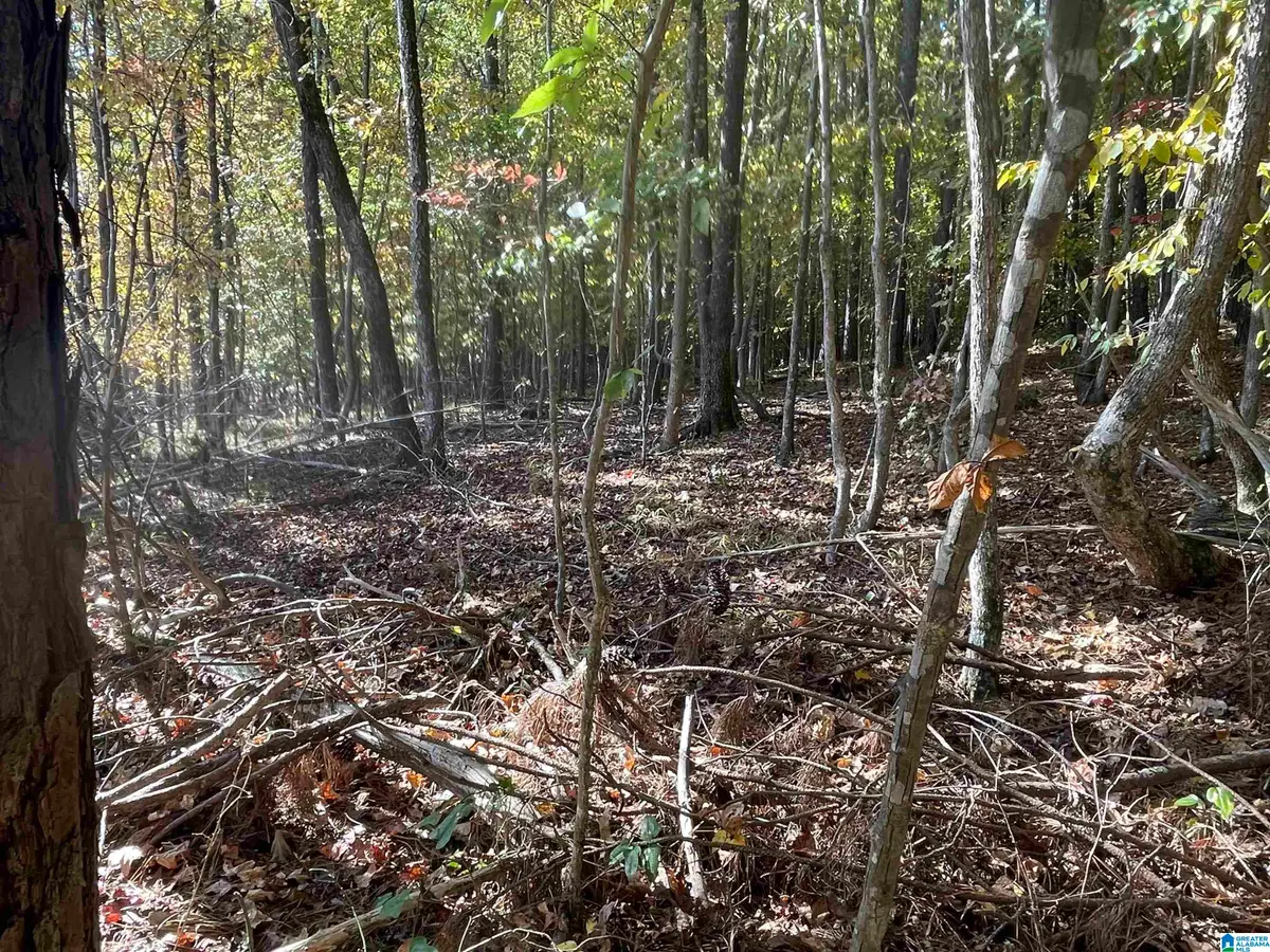 Lot #1 HIGHWAY 75, Oneonta, AL 35121 - #1