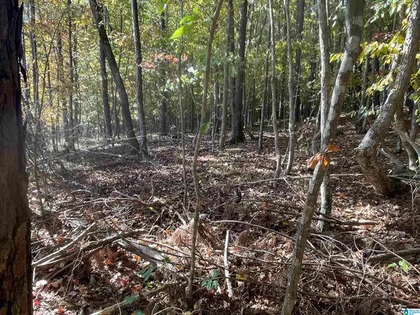 Lot #1 HIGHWAY 75, Oneonta, AL 35121