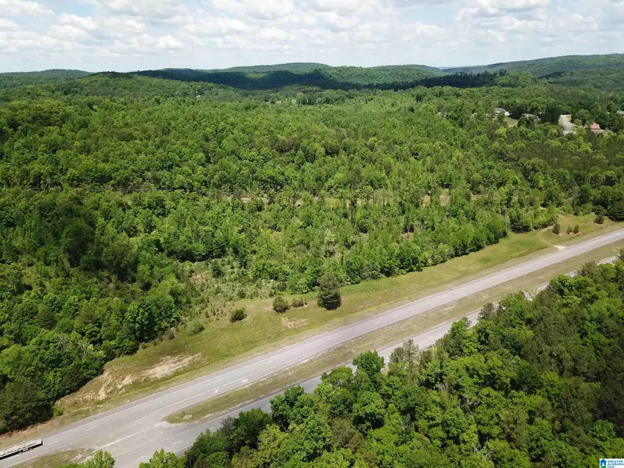 Lot #1 HIGHWAY 75, Oneonta, AL 35121 - #3