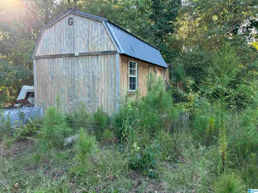4725 COUNTY HIGHWAY 47, Brilliant, AL 35548 - #3