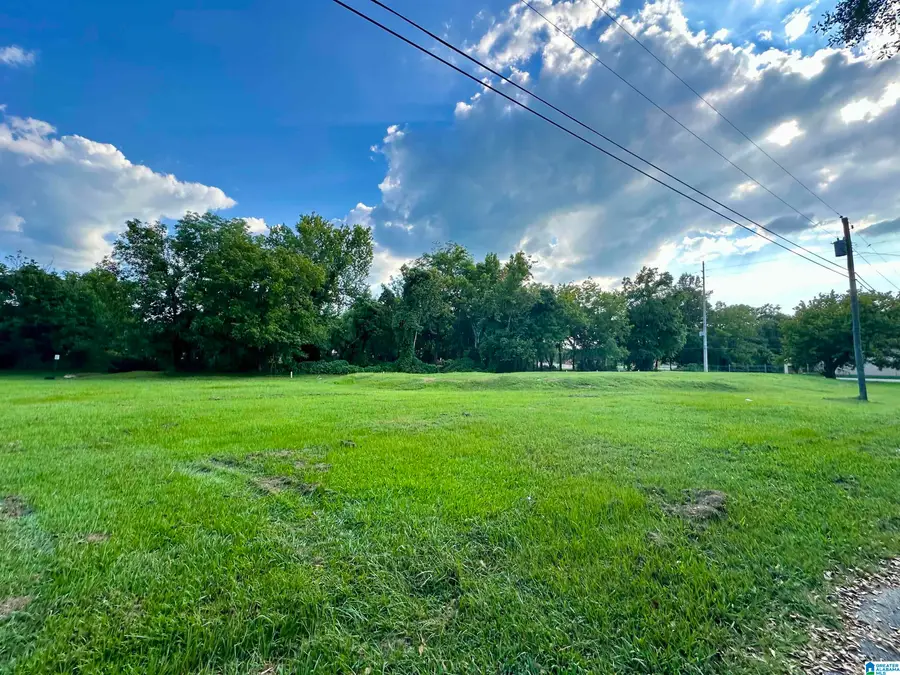 620 COLLEGE STREET SW, Jacksonville, AL 36265 - #3