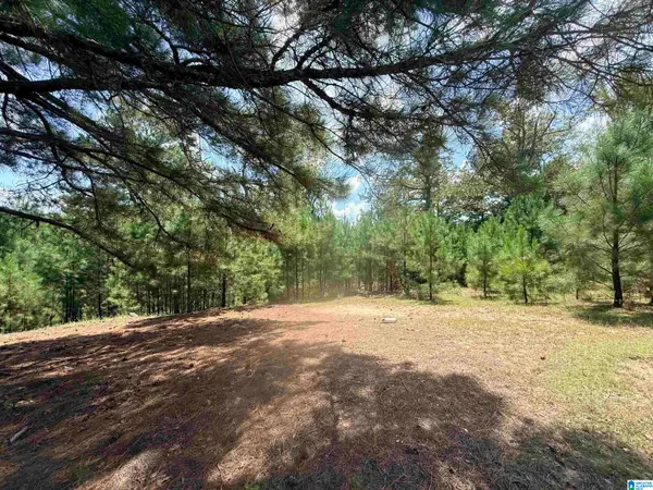 0000 ROCKYVIEW ROAD, West blocton, AL 35184