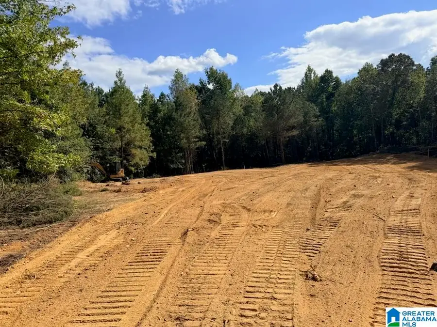 582 COUNTY ROAD 235, Arley, AL 35541 - #3