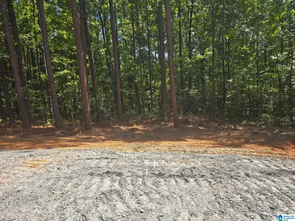 12561 SHEILA DRIVE, Mccalla, AL 35111
