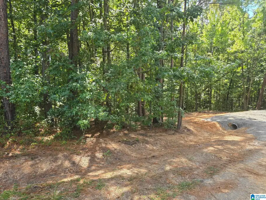 12561 SHEILA DRIVE, McCalla, AL 35111 - #2