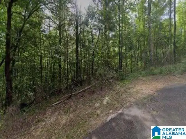 2467 CUNNINGHAM AVENUE, Birmingham, AL 35217 - #1