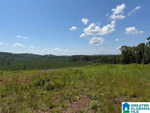 TBD GRISSOM FERRY ROAD, Vincent, AL 35178