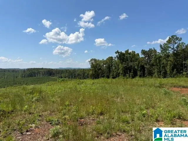 TBD GRISSOM FERRY ROAD, Vincent, AL 35178 - #2