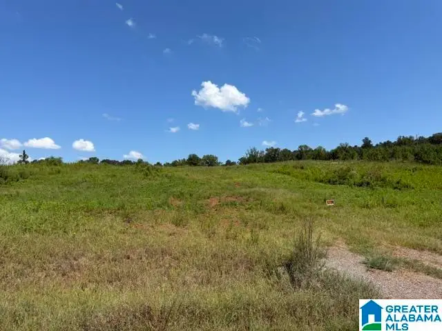 TBD GRISSOM FERRY ROAD, Vincent, AL 35178 - #3