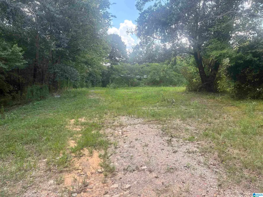 7274 TAYLORS FERRY ROAD, Bessemer, AL 35023 - #2