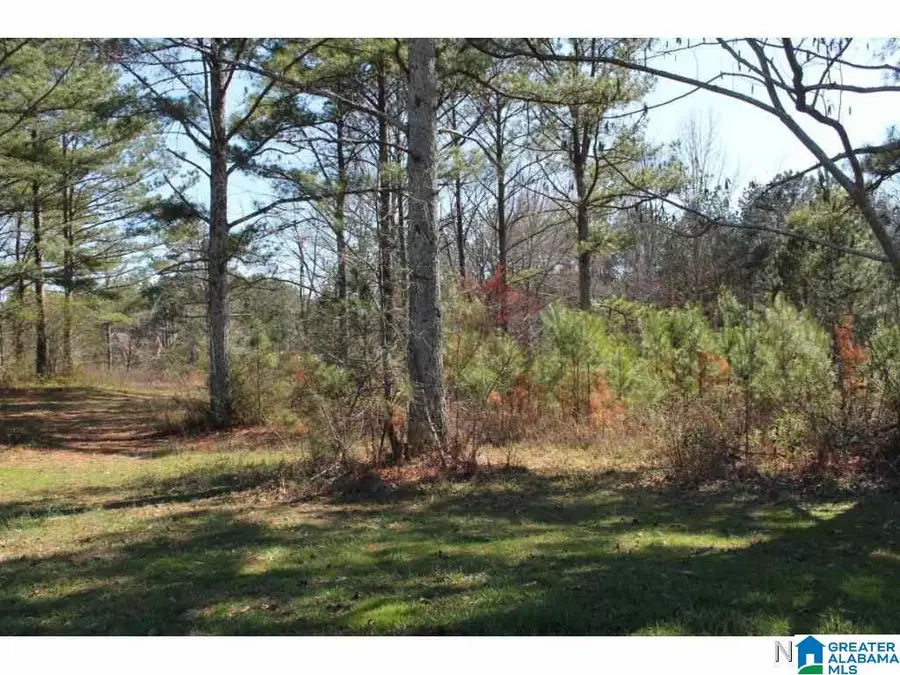 Lot 71 MONTCREST DRIVE, Cullman, AL 35057 - #2