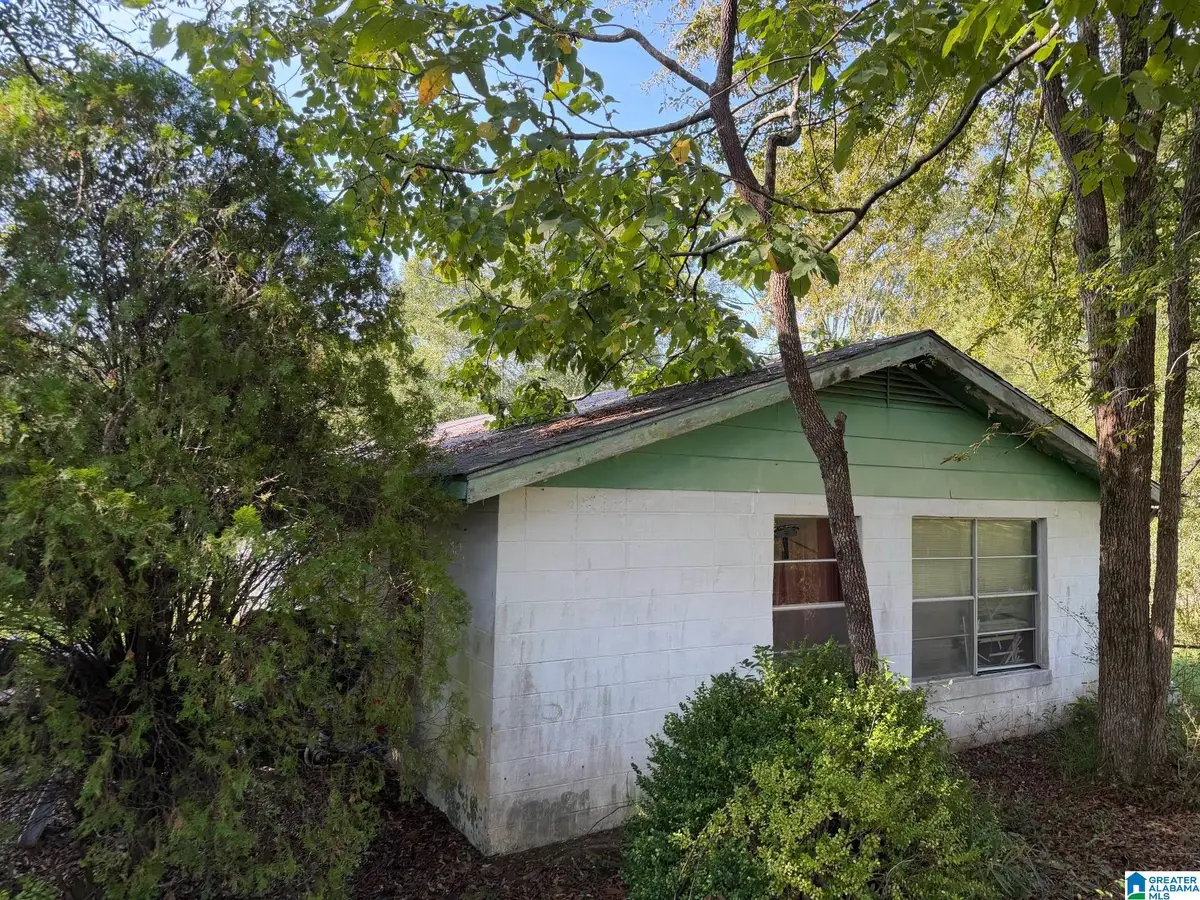 98 IRIS LANE, Alpine, AL 35014 - #1