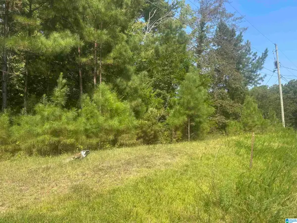 58 TODT DRIVE, Ohatchee, AL 36271