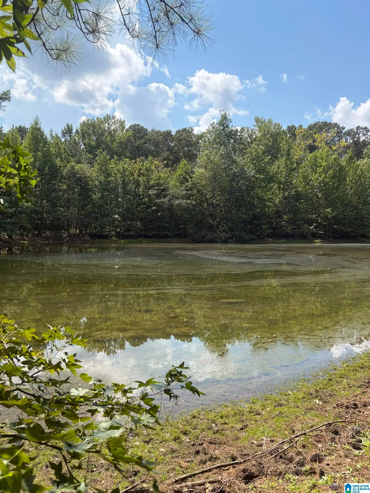 0 COUNTY ROAD 490, Clanton, AL 35046 - #1