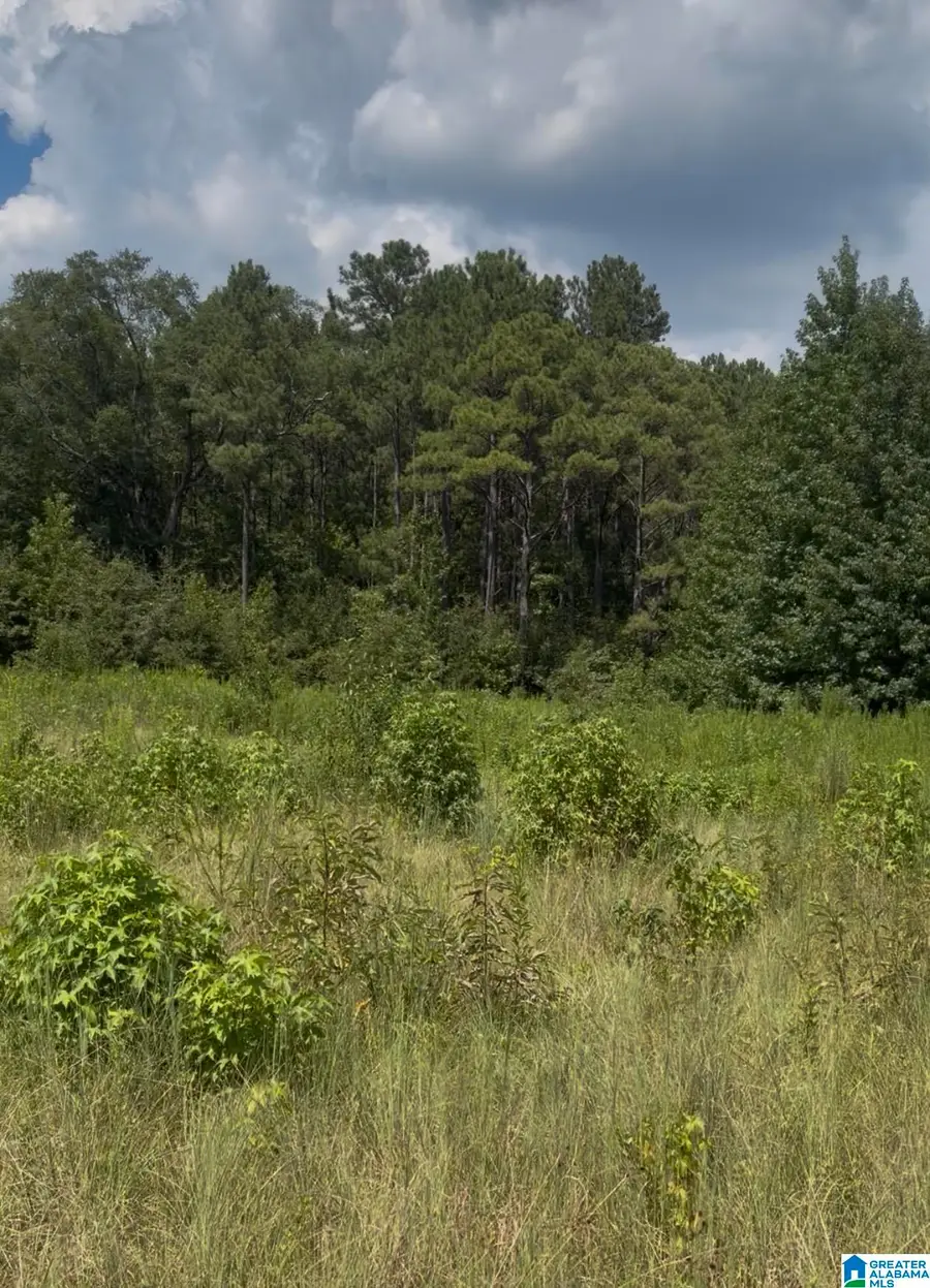 0 COUNTY ROAD 490, Clanton, AL 35046 - #2