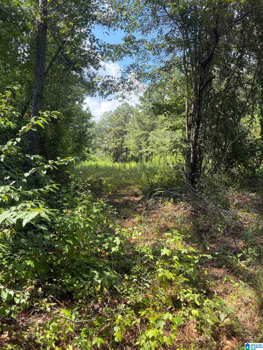 0 COUNTY ROAD 490, Clanton, AL 35046 - #3