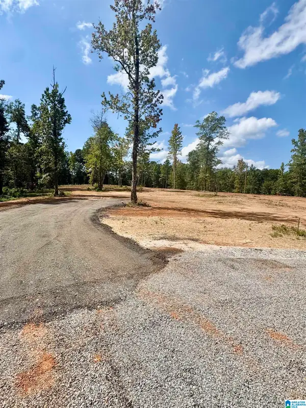 Lot14 Cam's Cov OLD HIGHWAY 431, Wedowee, AL 36278