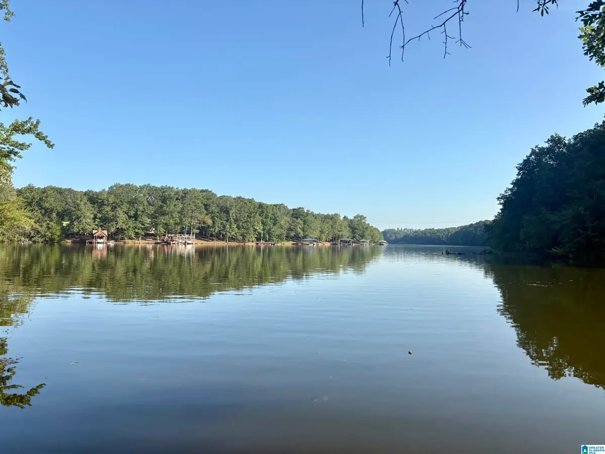 Lot 6 Cam's Cov OLD HIGHWAY 431, Wedowee, AL 36278 - #1